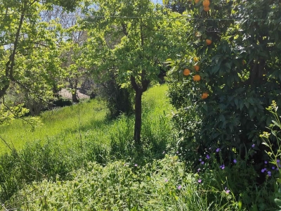 immagine annuncio 6 di 9