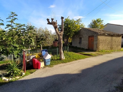 immagine annuncio 4 di 9