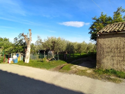 immagine annuncio 3 di 9