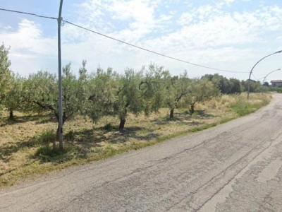 immagine annuncio 2 di 6