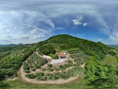 immagine annuncio 1 di 9