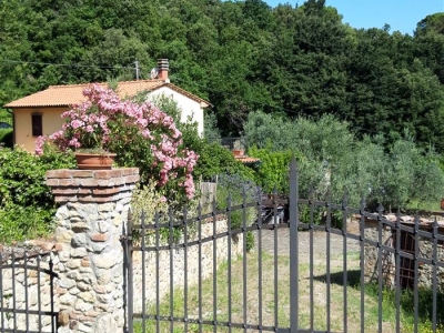 immagine annuncio 1 di 9