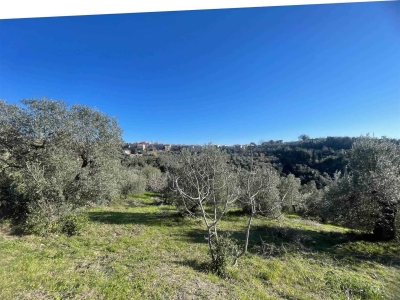 immagine annuncio 5 di 9