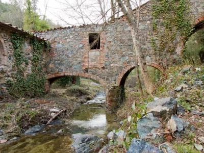 immagine annuncio 8 di 9