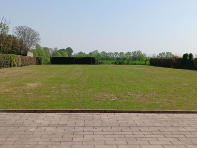 immagine annuncio 6 di 9