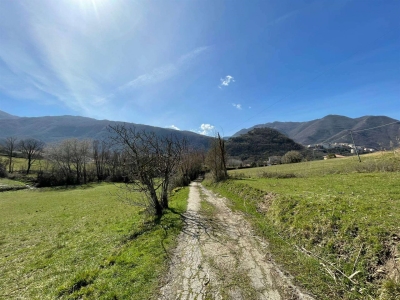 immagine annuncio 3 di 9
