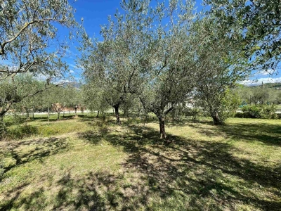 immagine annuncio 5 di 9
