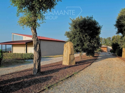 immagine annuncio 8 di 9