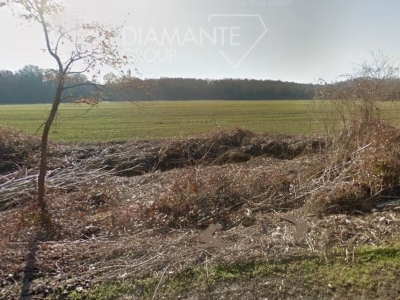 immagine annuncio 4 di 7