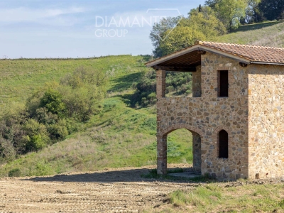 immagine annuncio 6 di 9