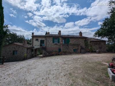 immagine annuncio 7 di 9