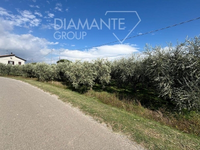 immagine annuncio 5 di 9