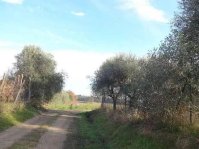 immagine annuncio 1 di 9