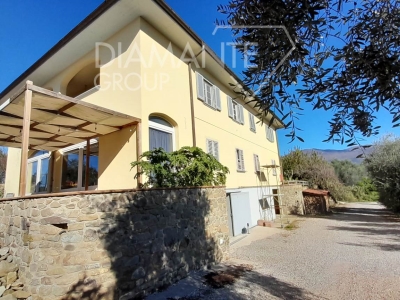 immagine annuncio 2 di 9