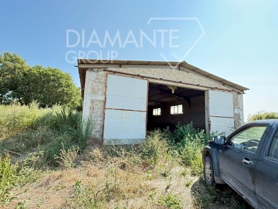 immagine annuncio 2 di 9