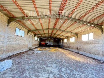 immagine annuncio 3 di 9