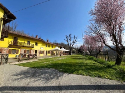 immagine annuncio 2 di 9