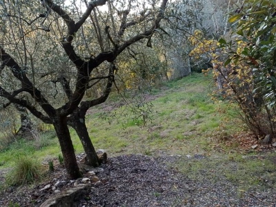 immagine annuncio 1 di 6