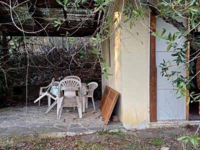 immagine annuncio 3 di 6