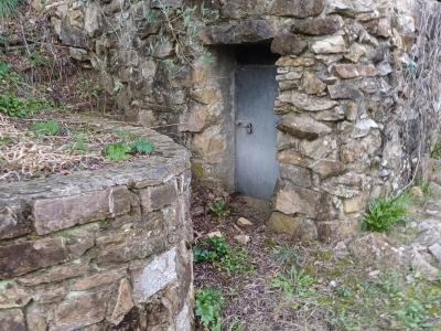 immagine annuncio 2 di 6