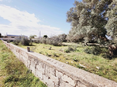 immagine annuncio 2 di 8