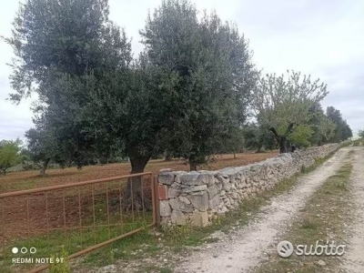 immagine annuncio 1 di 4
