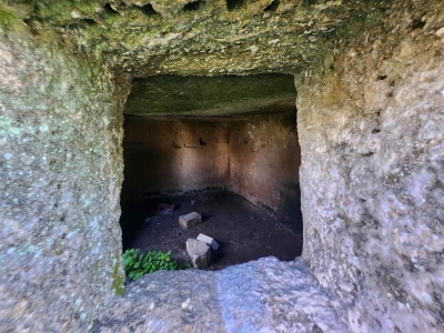 immagine annuncio 8 di 9