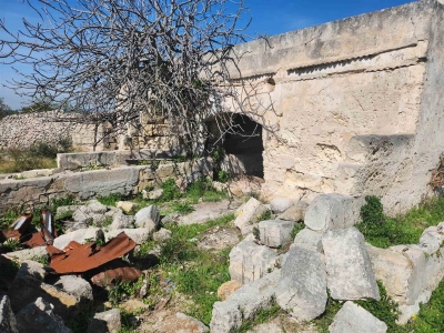 immagine annuncio 6 di 9