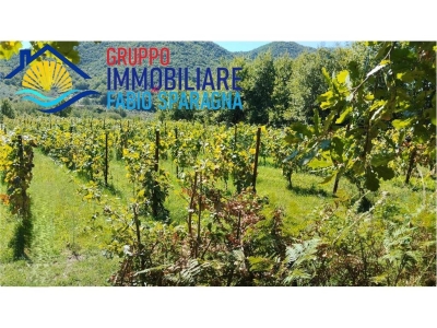 immagine annuncio 5 di 9