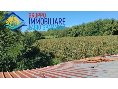 immagine annuncio 7 di 9