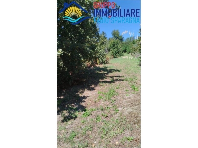 immagine annuncio 6 di 9