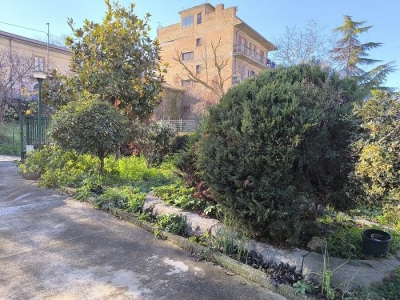 immagine annuncio 6 di 9