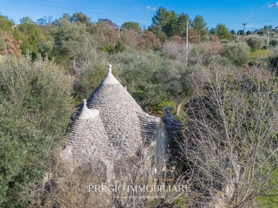 immagine annuncio 5 di 9