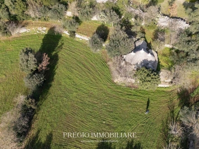 immagine annuncio 4 di 9