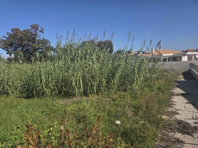 immagine annuncio 4 di 6