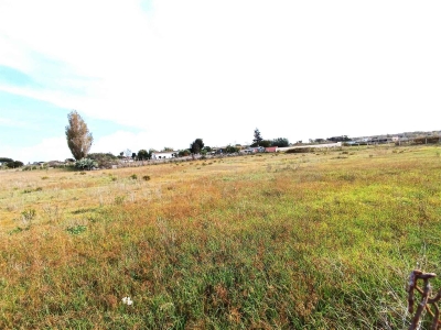 immagine annuncio 8 di 9