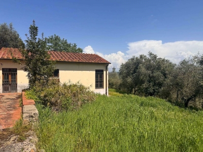 immagine annuncio 8 di 9