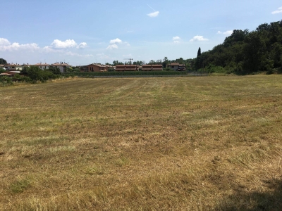 immagine annuncio 2 di 7