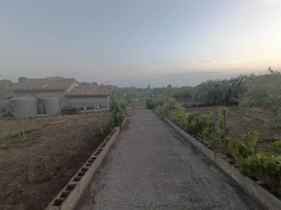 immagine annuncio 3 di 9