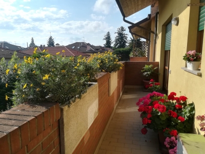 immagine annuncio 8 di 9