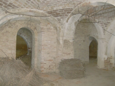 immagine annuncio 5 di 9