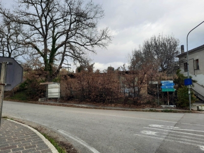 immagine annuncio 4 di 6