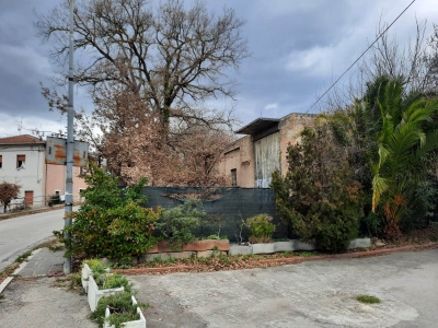 immagine annuncio 1 di 6