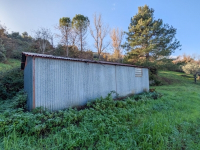 immagine annuncio 4 di 9