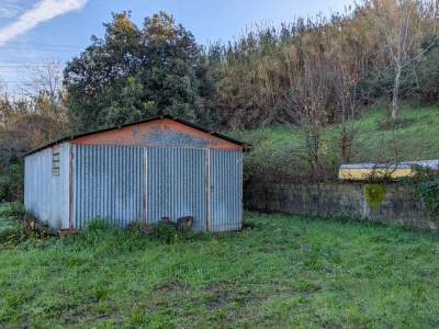 immagine annuncio 2 di 9