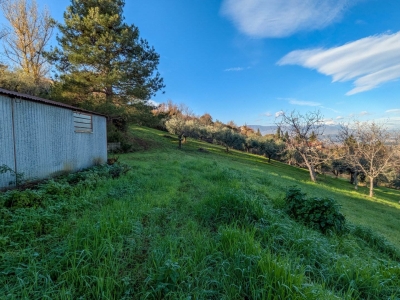 immagine annuncio 5 di 9