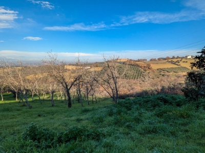 immagine annuncio 7 di 9