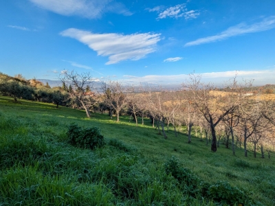 immagine annuncio 6 di 9