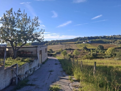 immagine annuncio 7 di 9