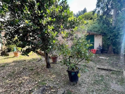 immagine annuncio 4 di 9